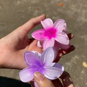 Flower Clips