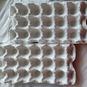 Egg Storage Tray