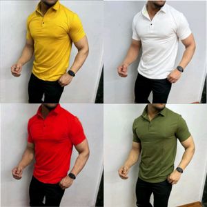 Basic Polo Collar Tshirt- Four Piece Combo