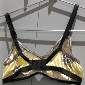 New Fancy Bra