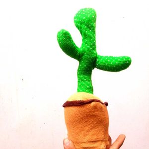 Cactus Toy