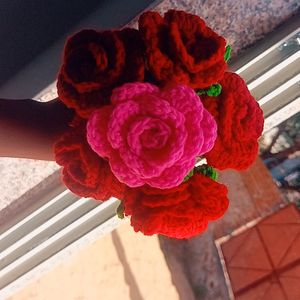 Combo of 6 Roses