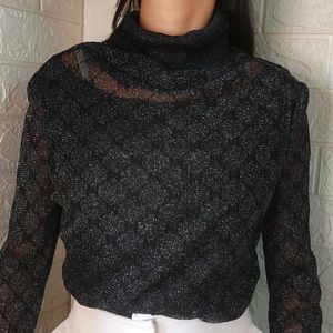 Shimmering Long  Tops & Turtle Neck