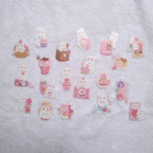 Rosy Posy Kawaii Transparent Journalsay Stickers