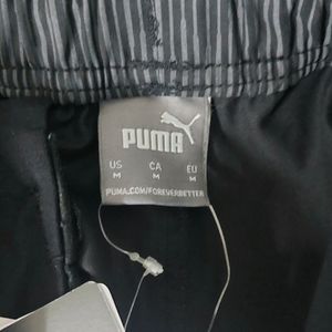 Brand New Puma shorts in M size