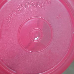 Tupperware Containers 250 ml &125ml