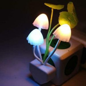 TMashroom 🍄light Lamp