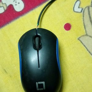 Mouse