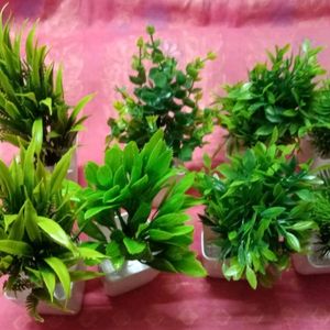 AKP 4 Set Artificial Plant with Pot