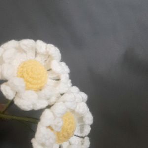 Crochet Large Daisy Flowers