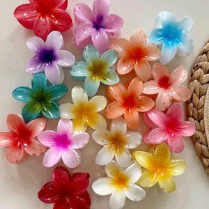 Flower claw Clips - medium