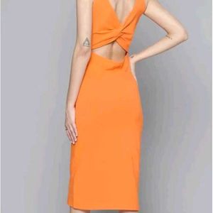 Bodycon Stylish Stretchable Dress