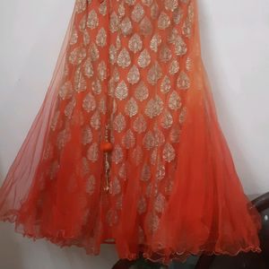 Beautiful Net Skirt With Jari Work