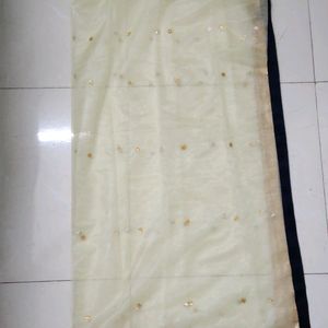 Shining Gold Dupatta With Velvet Border