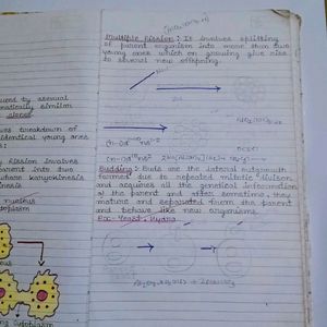 Class 12th CBSE Biology Notes