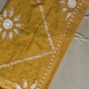 Lucknowi Chikankari Saree