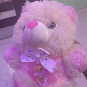 🎀Teddy Bear Pink🎀