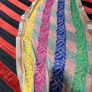 Multicolour Chunni/Dupatta