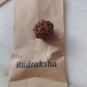 Certified Rudraksha