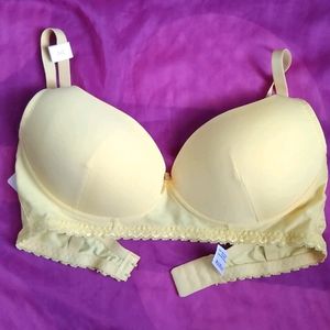 Zivame Rosalie Padded Bra 34-c