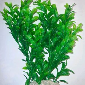 FISH TANK PLANT PLASTIC