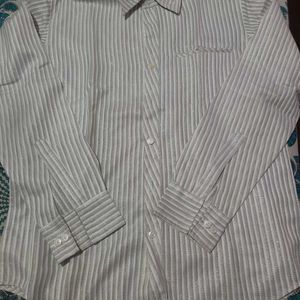 Mens Shirt