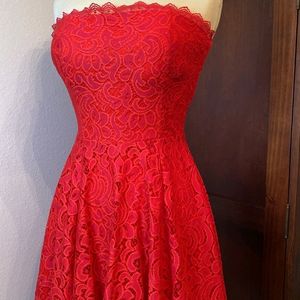 Padded Lace Embroidered