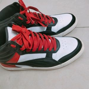 Puma Original Shoes