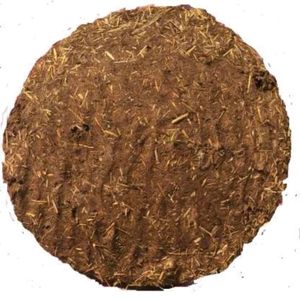 Cow Dung Cake