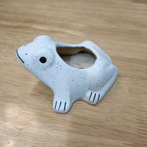 Frog Planter With Hole On Bottom