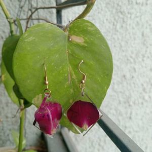 Resin Rose Earrings