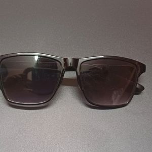 Women Square Sunglasses