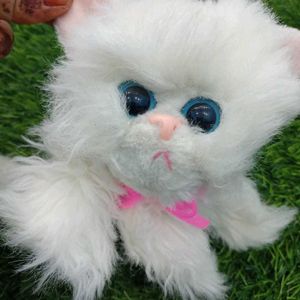 Cat Cuite Soft Toy