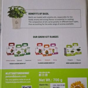 Pot & Bloom, Natural Italian Basil Grow Kit, New