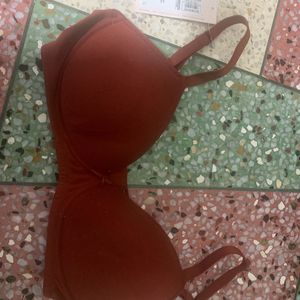 New Lightly Padded Non-Wired Tshirt Bra