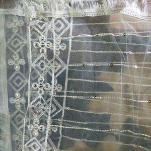 White Net Work Dupatta