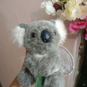 Cute Koala Soft Toy (Imported)🐨♥️