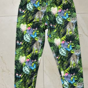 Girls Legging With Beautiful Print