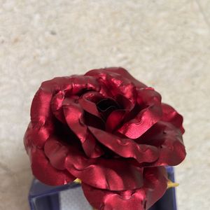 Beautiful Decorative Red Rose.