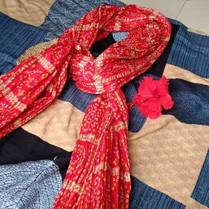 Scarf with Rajisthani Type Design