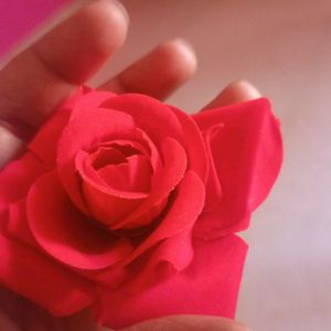 Offer 🥳 New Rose 🌹 For Kids