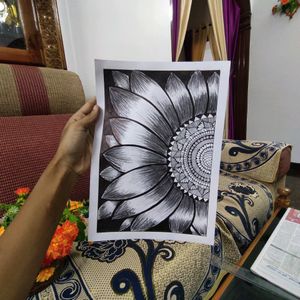 Mandala Sunflower Art