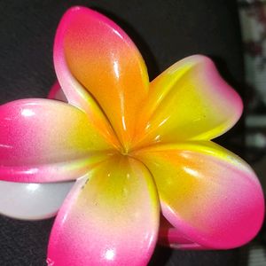 Pinteresty Flower Clip