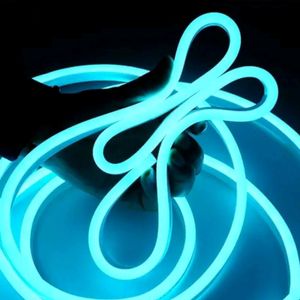 Neon LED Strip Rope Light