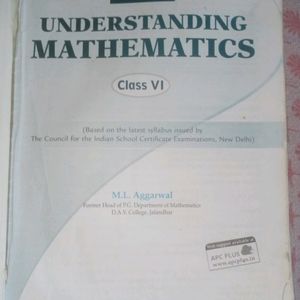 ICSE class 6 th Mathematics