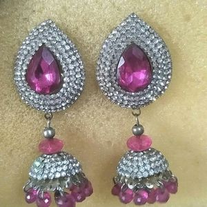 Beautiful Earring