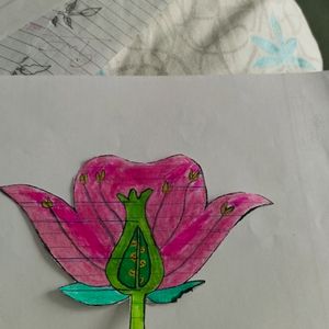 A Flower 🌹🌹