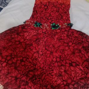 Cotton Net Pure Jari Work Red Colour Printed