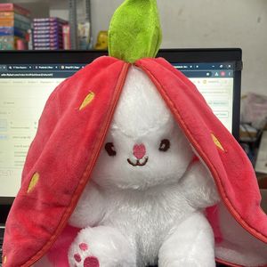 Rabbit Soft Toys