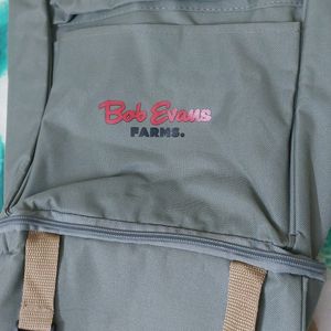 Backpack For School/College